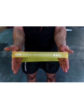 Тренировъчен ластик DBX Bushido Power Band MINI 13-20 kg - син Тренировъчен ластик DBX Bushido Power Band MINI 13-20 kg - син
